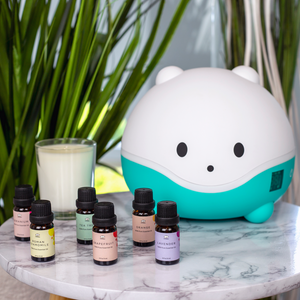 6 Piece Premium Essential Oil Set